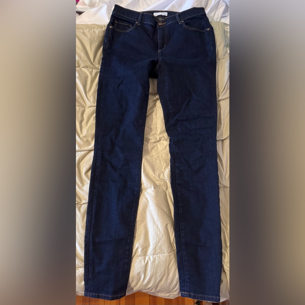 Ann Taylor Loft Jeggings Size 8 Long